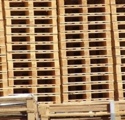 gallery/fondo pallet2